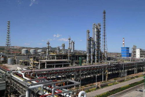 平煤神馬集團(tuán)尼龍科技二期己內(nèi)酰胺項(xiàng)目成功投料試車，年產(chǎn)20萬噸助力倉儲業(yè)升級